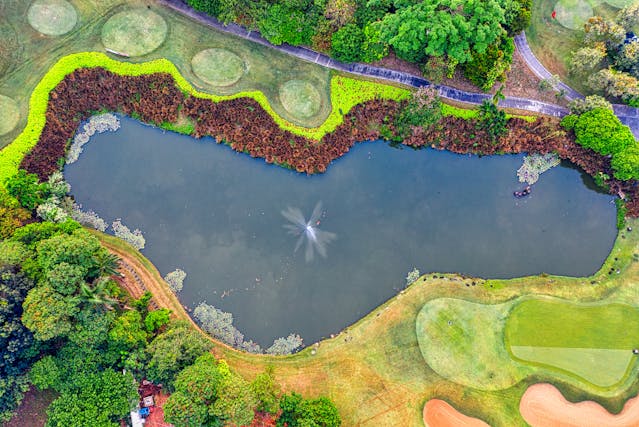 a lake in a botanic garden from above
