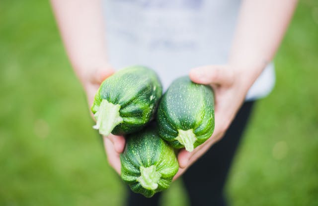 someone holding a bunch of zucchini