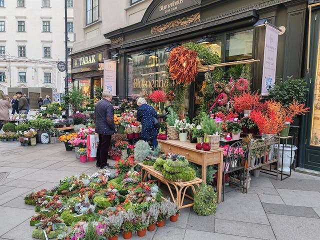 a garden shop with plants outside