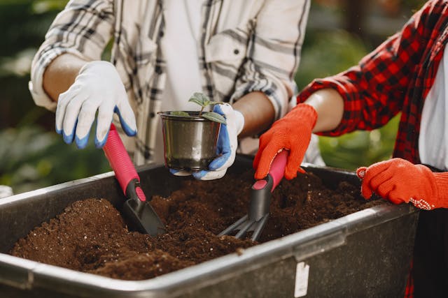 two individuals gardening at a raised bed, the bed is filled with soil and one individual is holding a pot with a plant. 