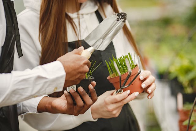 two people, one is holding a plant in a pot and the other is holding a shovel